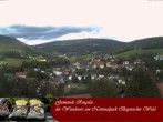 Archiv Foto Webcam Ringelai 11:00