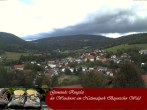Archiv Foto Webcam Ringelai 13:00