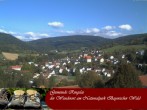Archiv Foto Webcam Ringelai 09:00