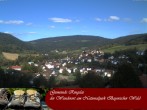 Archiv Foto Webcam Ringelai 11:00