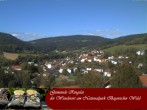 Archiv Foto Webcam Ringelai 13:00