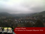 Archiv Foto Webcam Ringelai 09:00