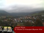 Archiv Foto Webcam Ringelai 11:00