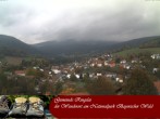 Archiv Foto Webcam Ringelai 13:00