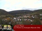 Archiv Foto Webcam Ringelai 09:00