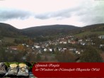 Archiv Foto Webcam Ringelai 11:00