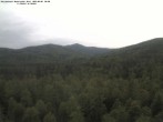 Archiv Foto Webcam Großer Rachel 05:00