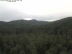 Archiv Foto Webcam Großer Rachel 09:00
