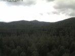 Archiv Foto Webcam Großer Rachel 11:00