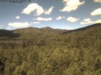 Archiv Foto Webcam Großer Rachel 11:00