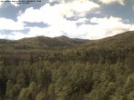 Archiv Foto Webcam Großer Rachel 13:00