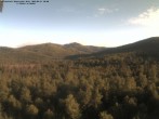 Archived image Webcam Großer Rachel summit 05:00