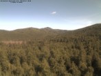 Archiv Foto Webcam Großer Rachel 07:00