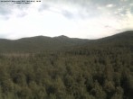 Archiv Foto Webcam Großer Rachel 07:00