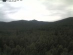 Archiv Foto Webcam Großer Rachel 11:00
