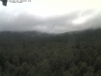 Archived image Webcam Großer Rachel summit 11:00