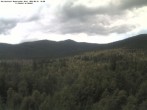 Archiv Foto Webcam Großer Rachel 10:00