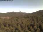 Archiv Foto Webcam Großer Rachel 07:00