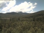Archiv Foto Webcam Großer Rachel 11:00