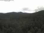 Archiv Foto Webcam Großer Rachel 11:00