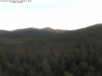 Archiv Foto Webcam Großer Rachel 05:00