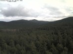 Archiv Foto Webcam Großer Rachel 07:00