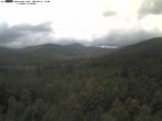 Archiv Foto Webcam Großer Rachel 11:00