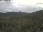 Archiv Foto Webcam Großer Rachel 15:00