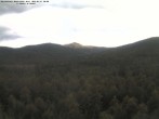 Archiv Foto Webcam Großer Rachel 05:00