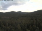 Archiv Foto Webcam Großer Rachel 06:00
