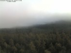 Archiv Foto Webcam Großer Rachel 05:00