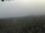 Archiv Foto Webcam Großer Rachel 07:00