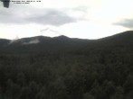 Archiv Foto Webcam Großer Rachel 15:00