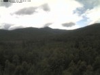 Archiv Foto Webcam Großer Rachel 11:00