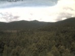 Archiv Foto Webcam Großer Rachel 11:00