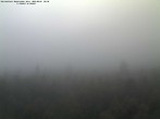 Archiv Foto Webcam Großer Rachel 05:00