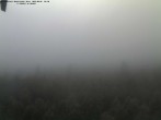 Archiv Foto Webcam Großer Rachel 07:00