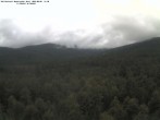 Archiv Foto Webcam Großer Rachel 11:00