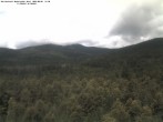 Archiv Foto Webcam Großer Rachel 11:00