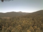 Archiv Foto Webcam Großer Rachel 11:00