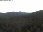 Archiv Foto Webcam Großer Rachel 05:00
