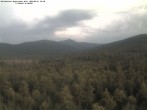 Archiv Foto Webcam Großer Rachel 07:00