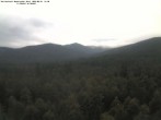 Archiv Foto Webcam Großer Rachel 11:00
