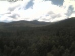 Archived image Webcam Großer Rachel summit 13:00