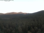 Archived image Webcam Großer Rachel summit 06:00