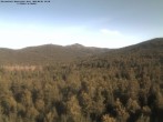 Archived image Webcam Großer Rachel summit 07:00