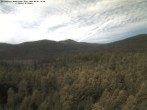 Archiv Foto Webcam Großer Rachel 10:00