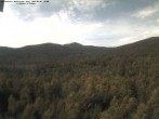 Archiv Foto Webcam Großer Rachel 11:00