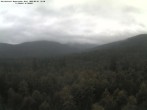 Archiv Foto Webcam Großer Rachel 11:00