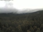 Archiv Foto Webcam Großer Rachel 11:00